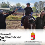 Nemzeti Együttműködési Alap